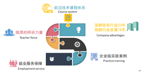 計算機科學與技術 引領信息時代的核心技術支撐與咨詢服務